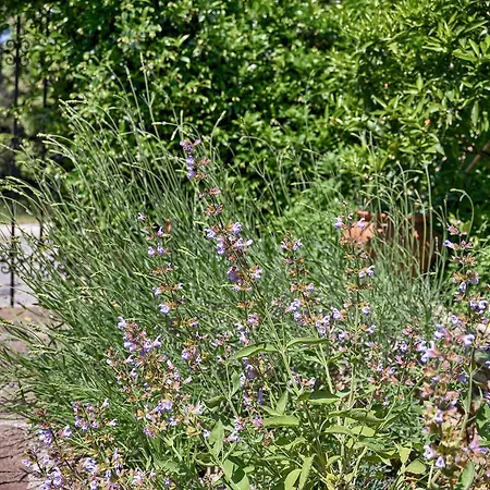 Appartamento Vesna 1642 Pola