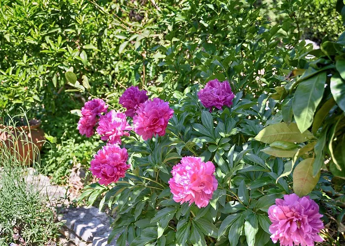 Vesna 1642 아파트 *