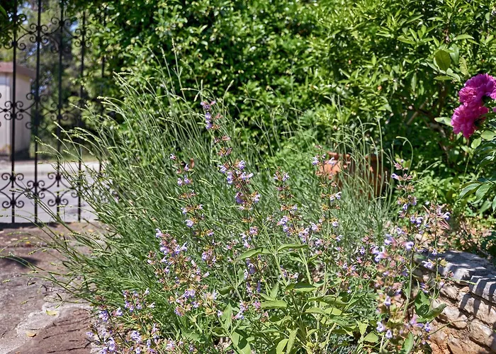 Διαμέρισμα Vesna 1642 Πούλα